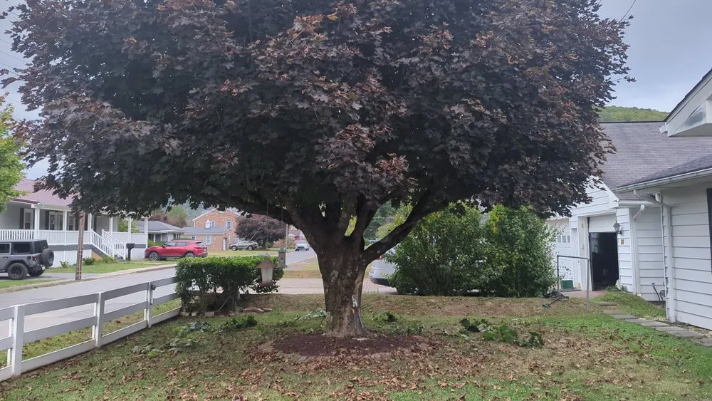 Local landscape installation experts serving Richwood, WV - Need-A-Fix