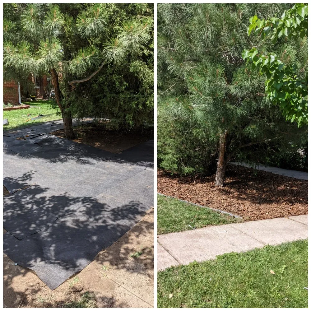 Local yard maintenance in Colorado Springs, CO - Need A Hand