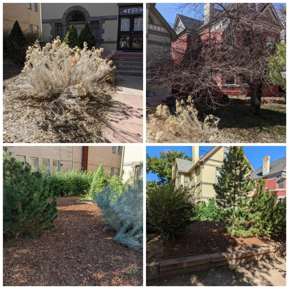 Custom yard maintenance near you in Colorado Springs, CO by Need A Hand