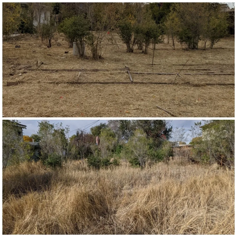 Trusted lawn mowing service in Colorado Springs, CO - Need A Hand