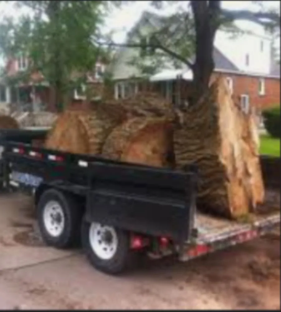 Custom lawn mowing service in Colorado Springs, CO - Need A Hand