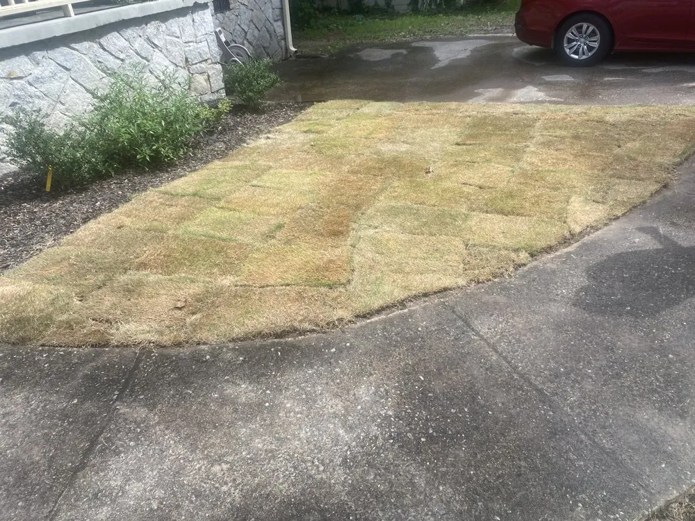 Professional yard cleanup service near you in LaGrange, GA by Need A Helping Hand