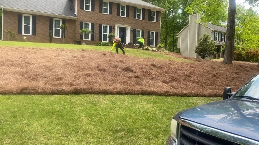 Affordable lawn mowing service experts serving LaGrange, GA - Need A Helping Hand