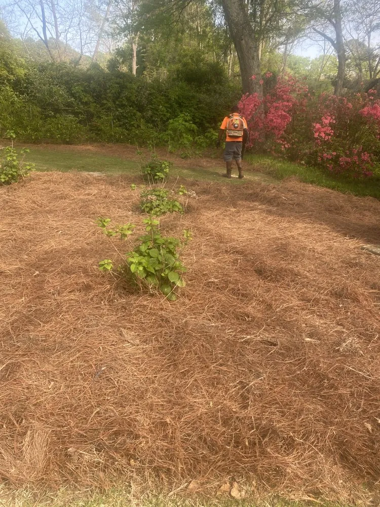 Trusted residential landscaping in LaGrange, GA by Need A Helping Hand