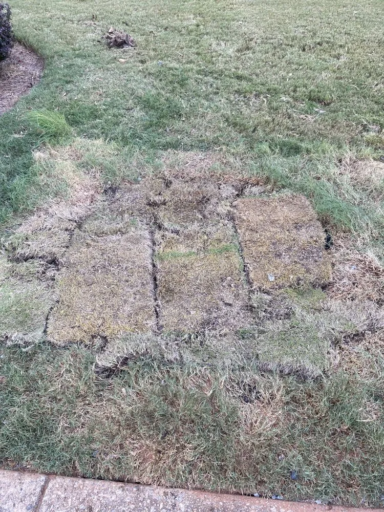 Custom outdoor landscaping experts serving LaGrange, GA - Need A Helping Hand