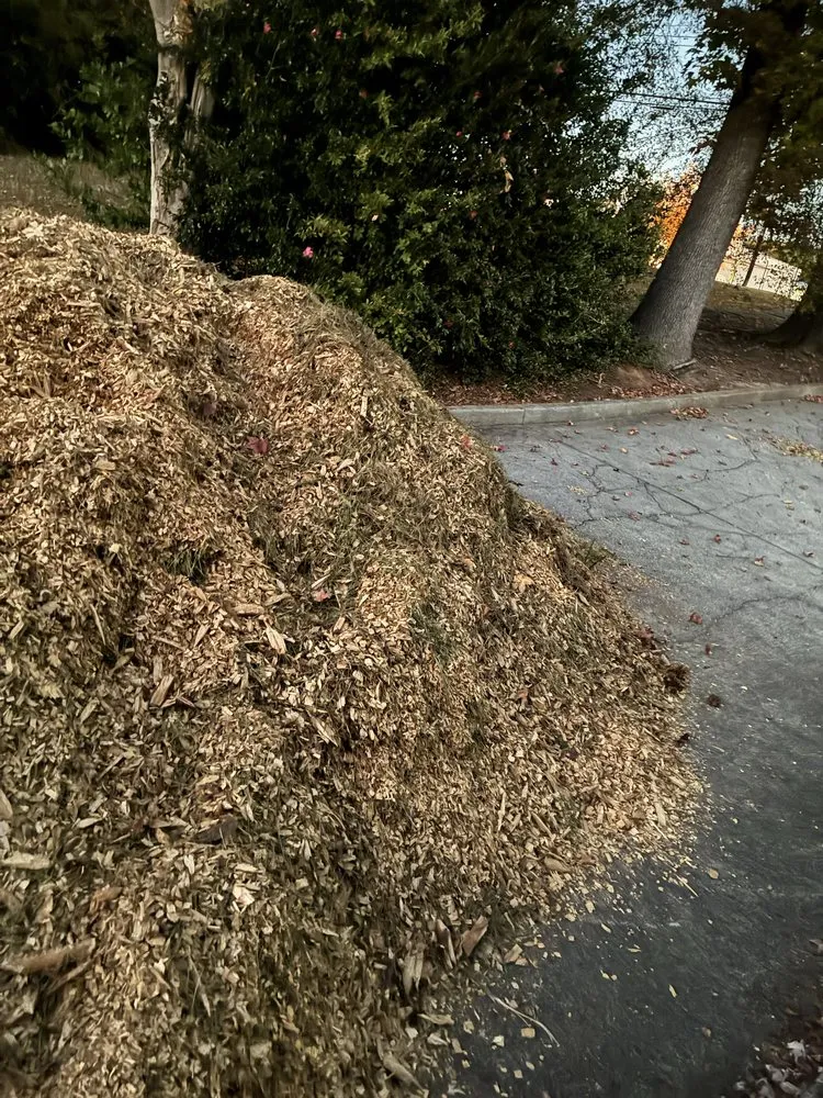 Local lawn care service in Atlanta, GA - Need A Helping Hand Landscaping