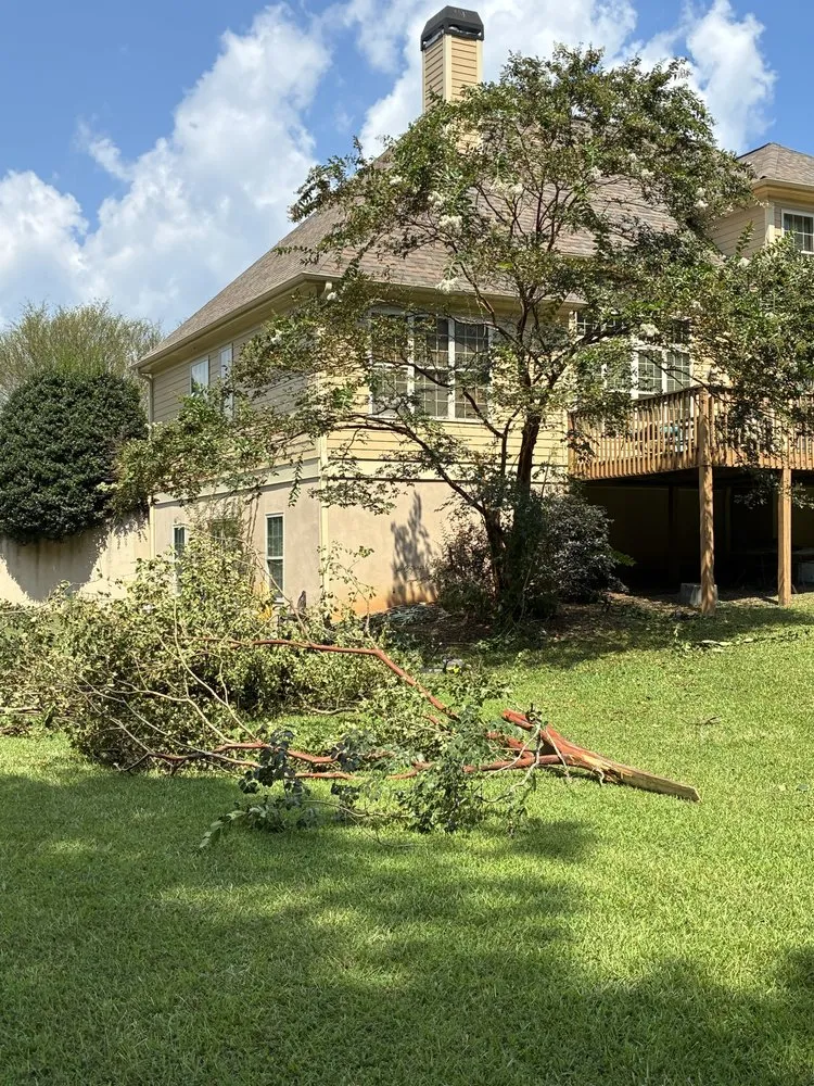 Top-rated landscape design in Atlanta, GA - Need A Helping Hand Landscaping