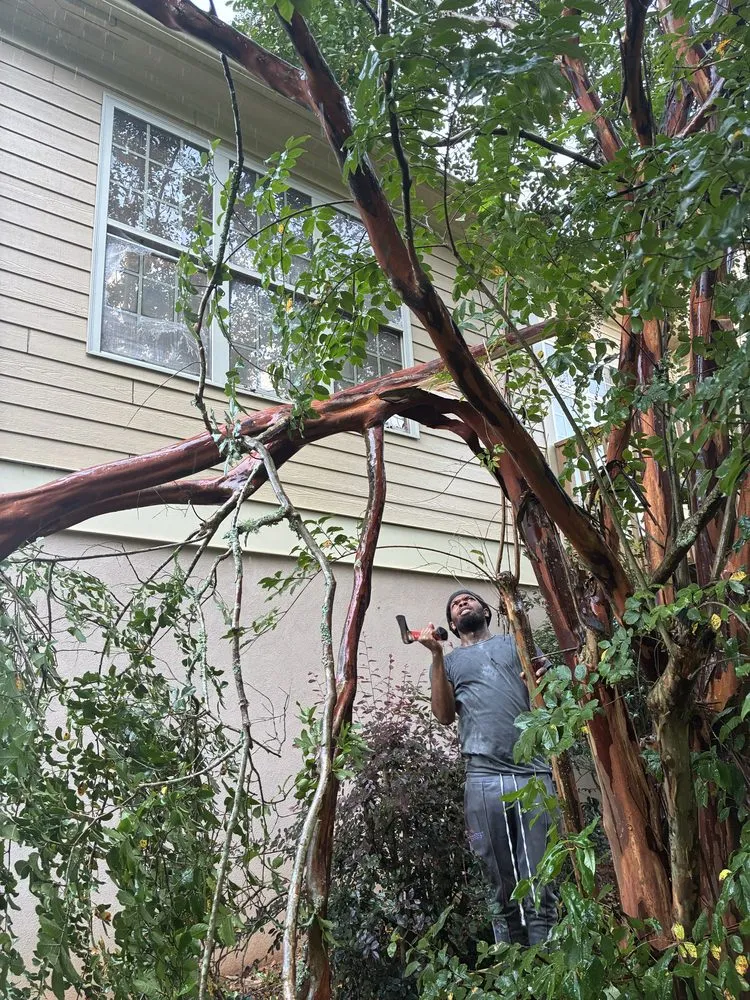 Top-rated outdoor landscaping experts serving Atlanta, GA - Need A Helping Hand Landscaping