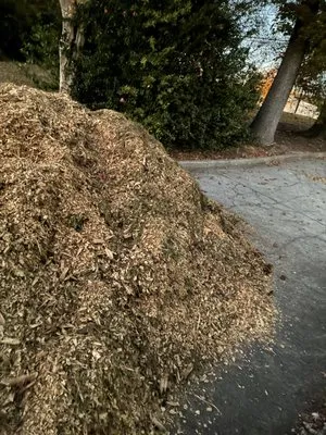 Need A Helping Hand Landscaping Logo