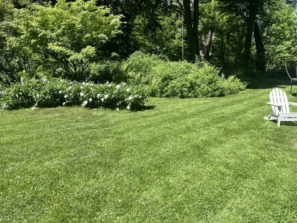 Trusted landscaping services in Orchard Park, NY - Need Em Landscaping