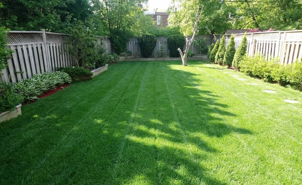 Local lawn care service experts serving Orchard Park, NY - Need Em Landscaping