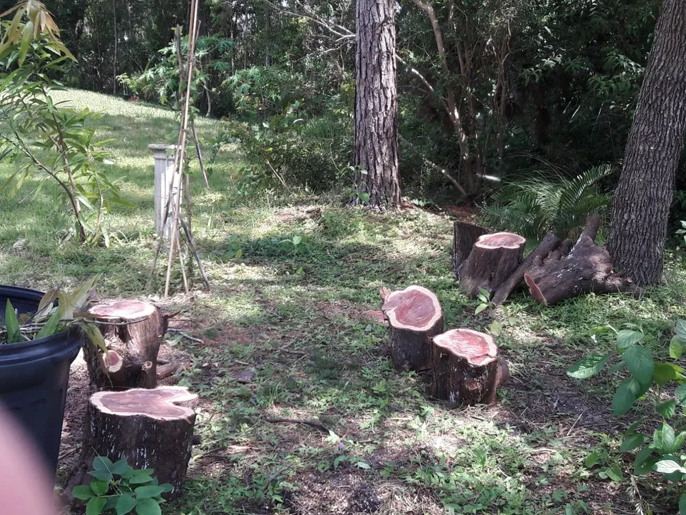 Professional outdoor landscaping with custom design across Bradenton, FL - Need For Green Lawn Service