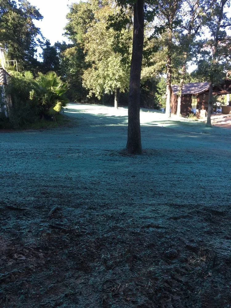 Reliable lawn mowing service experts serving Lindale, TX - Need Grass Now