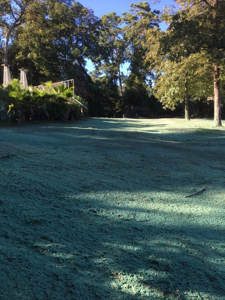 Affordable outdoor landscaping for residential properties across Lindale, TX - Need Grass Now