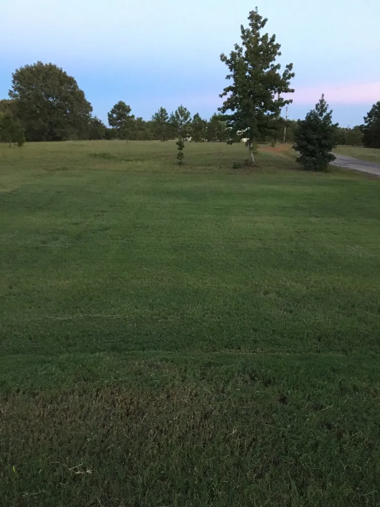 Professional yard cleanup service for year-round maintenance in Lindale, TX by Need Grass Now