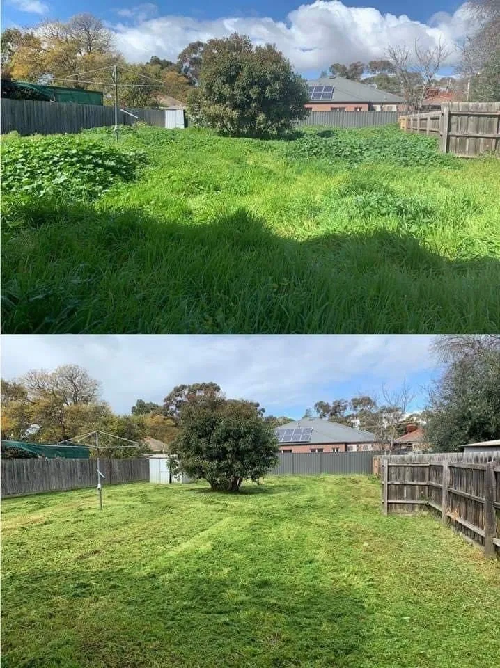 Trusted lawn care service in La Marque, TX - Need.A.Hand Services