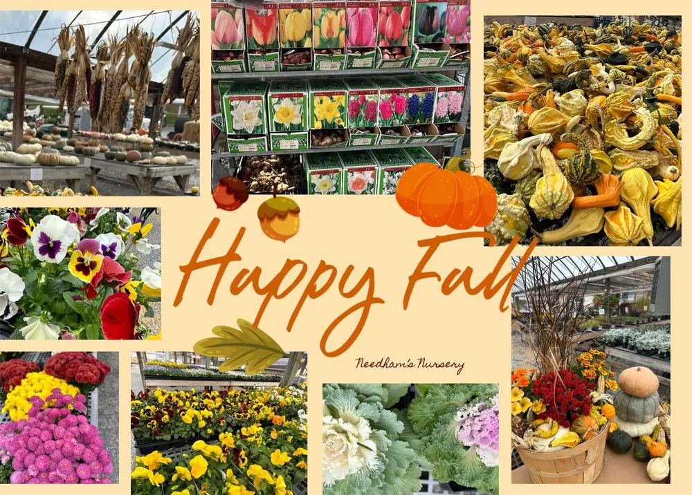 Trusted residential landscaping for homes across Mount Juliet, TN - Needhams Nursery & Hemp Pharm