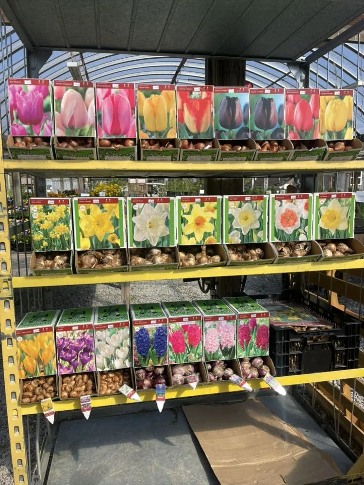 Reliable yard maintenance in Mount Juliet, TN by Needhams Nursery & Hemp Pharm