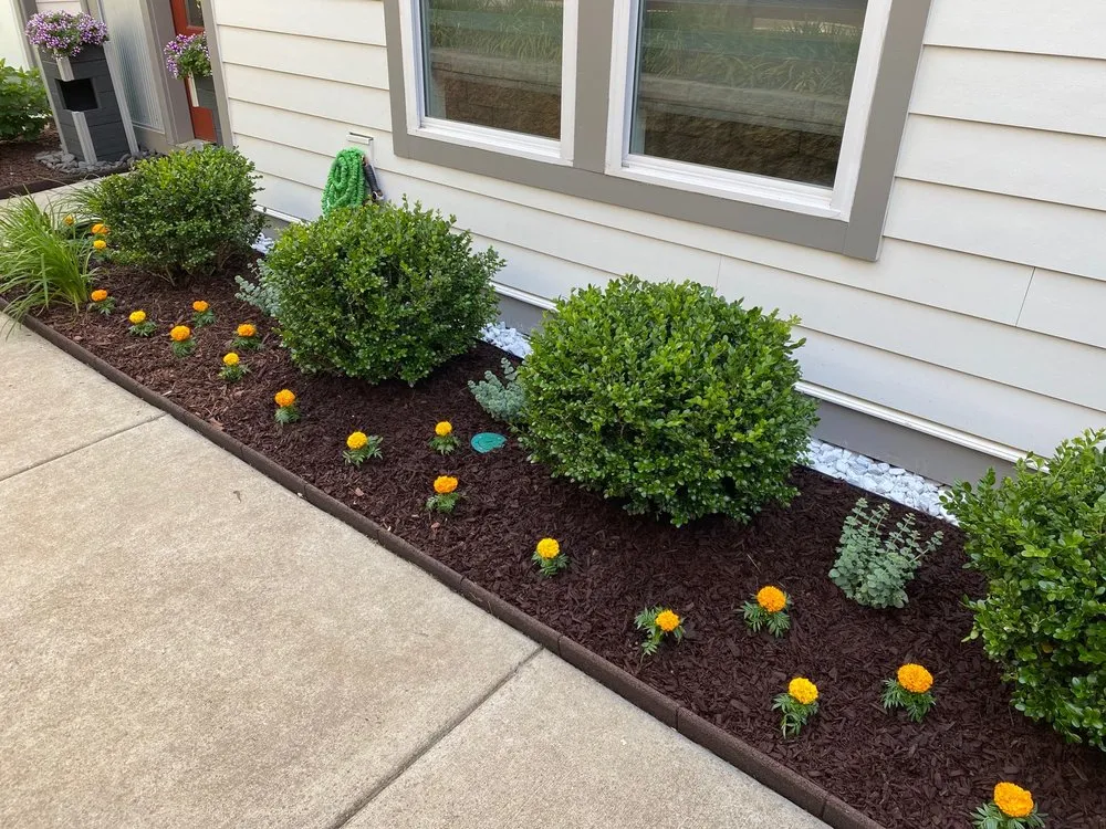 Top-rated outdoor landscaping for homes in Mount Juliet, TN by Needhams Nursery & Hemp Pharm