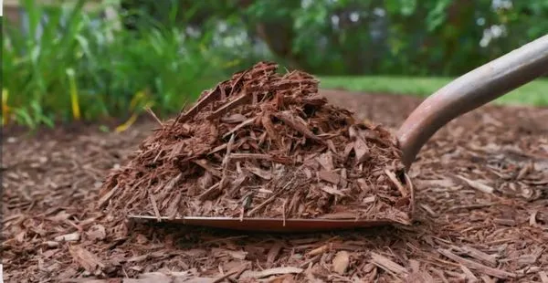 Needs Landscaping Logo