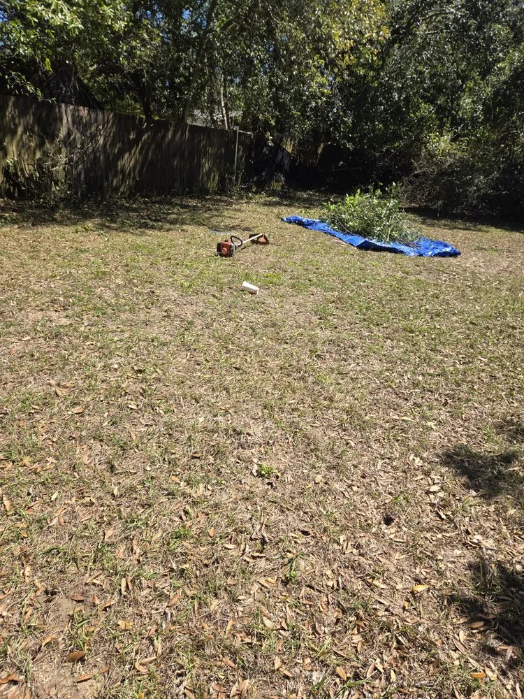 Expert yard cleanup service experts serving Pensacola, FL - Neek's Logistics