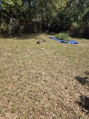 Neek's Logistics Logo