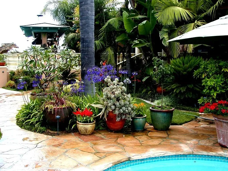 Expert garden landscaping experts serving Whittier, CA - Neel Landscaping & Design