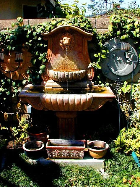 Affordable lawn care service in Whittier, CA by Neel Landscaping & Design