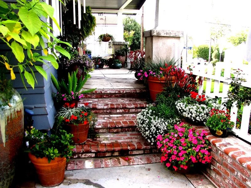 Expert lawn care service for year-round maintenance across Whittier, CA - Neel Landscaping & Design