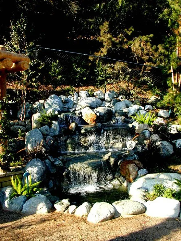 Professional landscaping services in Whittier, CA - Neel Landscaping & Design