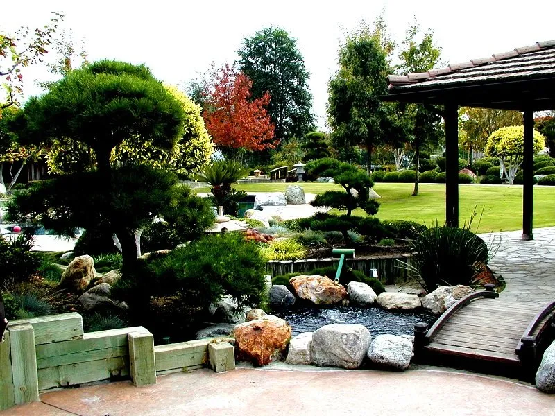 Affordable outdoor landscaping near you across Whittier, CA - Neel Landscaping & Design