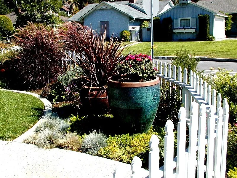 Top-rated yard maintenance in Whittier, CA by Neel Landscaping & Design