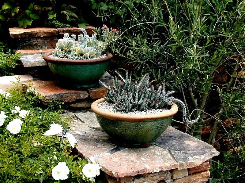 Custom landscape installation with custom design in Whittier, CA by Neel Landscaping & Design