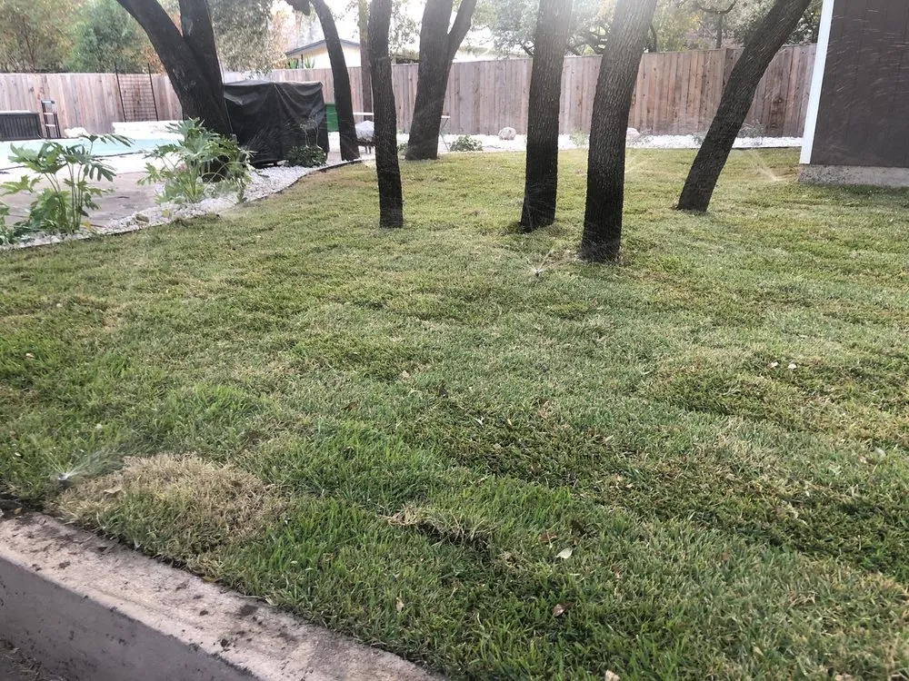 Trusted landscape design in Liberty Hill, TX by Neely Brothers