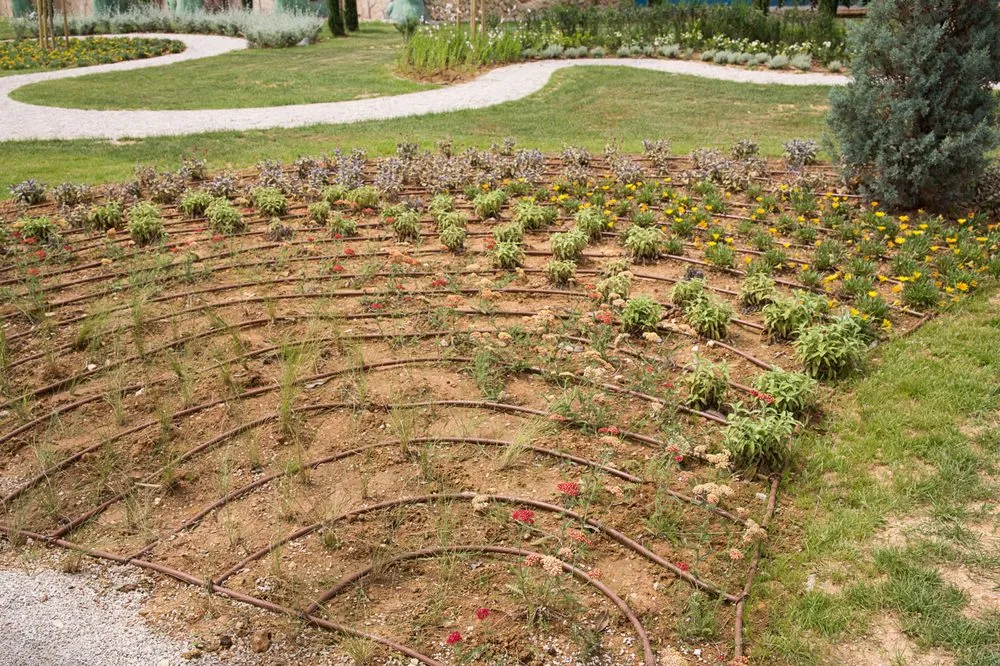 Expert lawn care service in Liberty Hill, TX - Neely Brothers