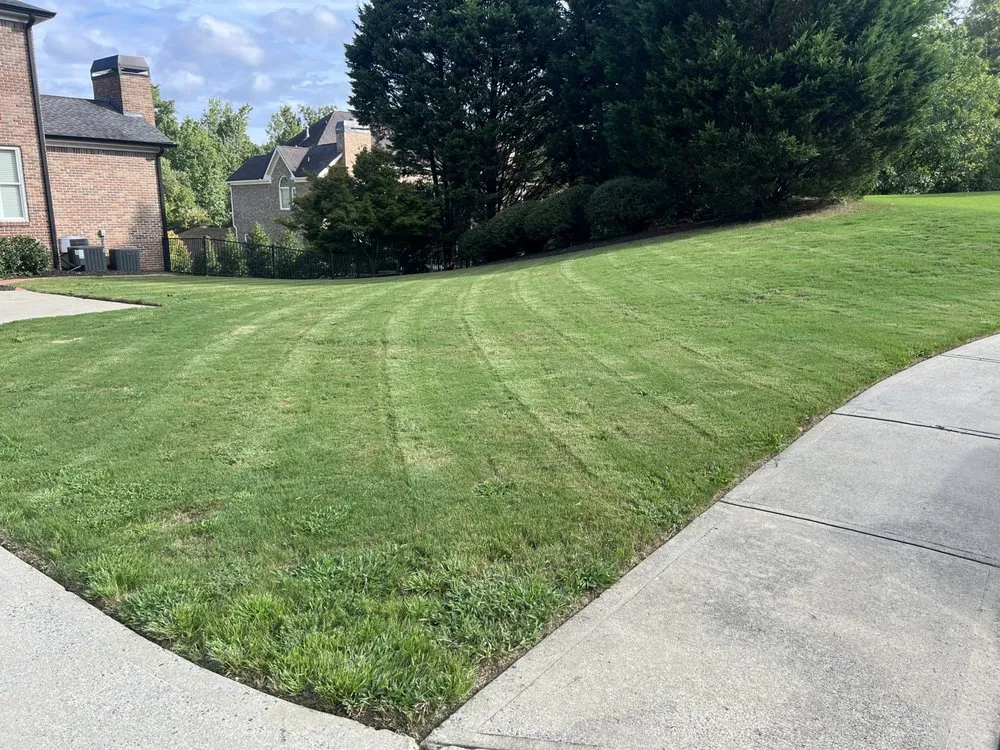 Reliable landscape installation in Loganville, GA - Neely Handyman Service