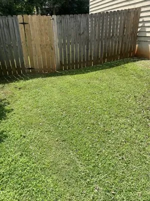 Neely Handyman Service Logo