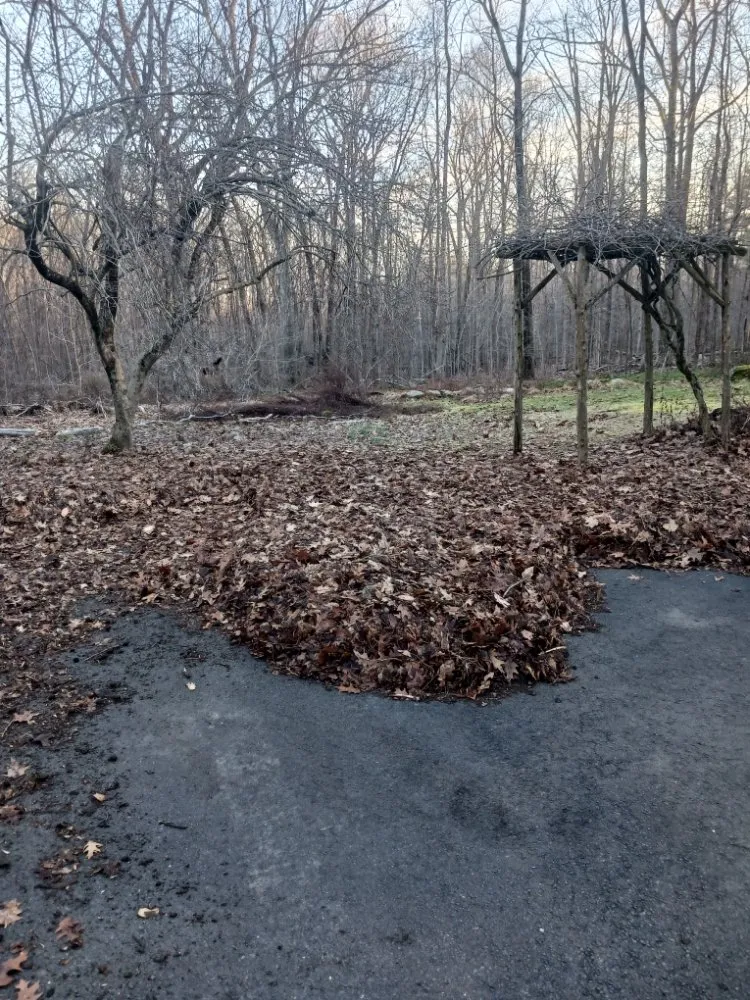 Trusted yard cleanup service for homes across Durham, CT - Neem Tree Landscaping