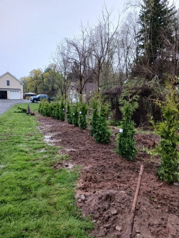 Expert lawn care service for residential properties in Durham, CT by Neem Tree Landscaping