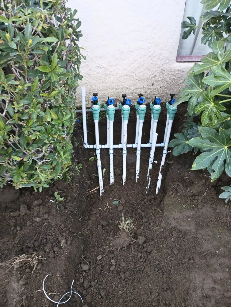 Professional residential landscaping with custom design across Highland, CA - Neenis Landscaping