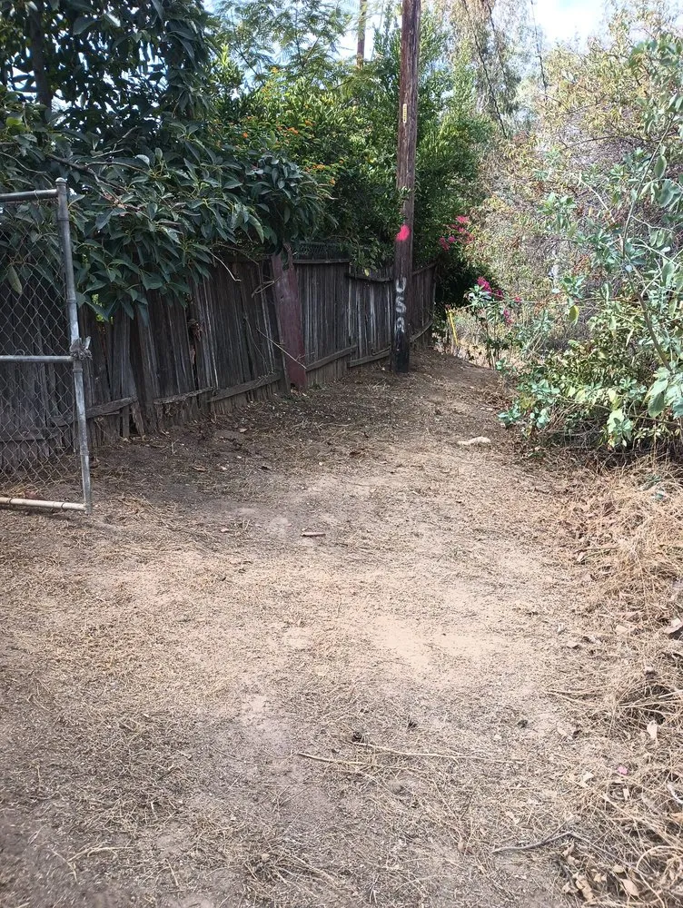 Expert yard cleanup service experts serving Highland, CA - Neenis Landscaping