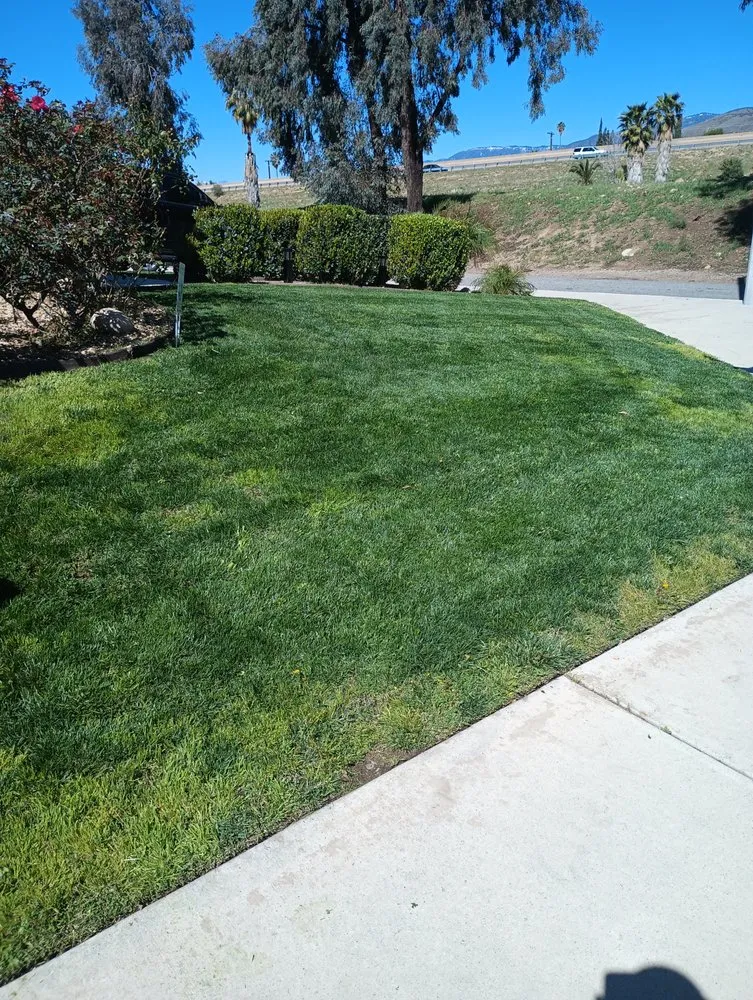 Affordable yard maintenance for homes across Highland, CA - Neenis Landscaping