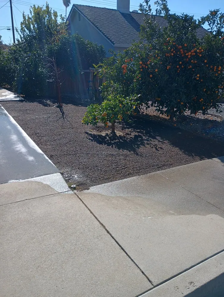 Affordable yard cleanup service for outdoor upgrades in Highland, CA by Neenis Landscaping