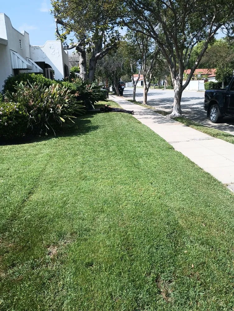 Trusted landscape design experts serving Highland, CA - Neenis Landscaping