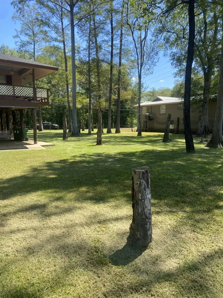 Expert lawn mowing service for year-round maintenance across Mobile, AL - Neese Mowed Lawncare