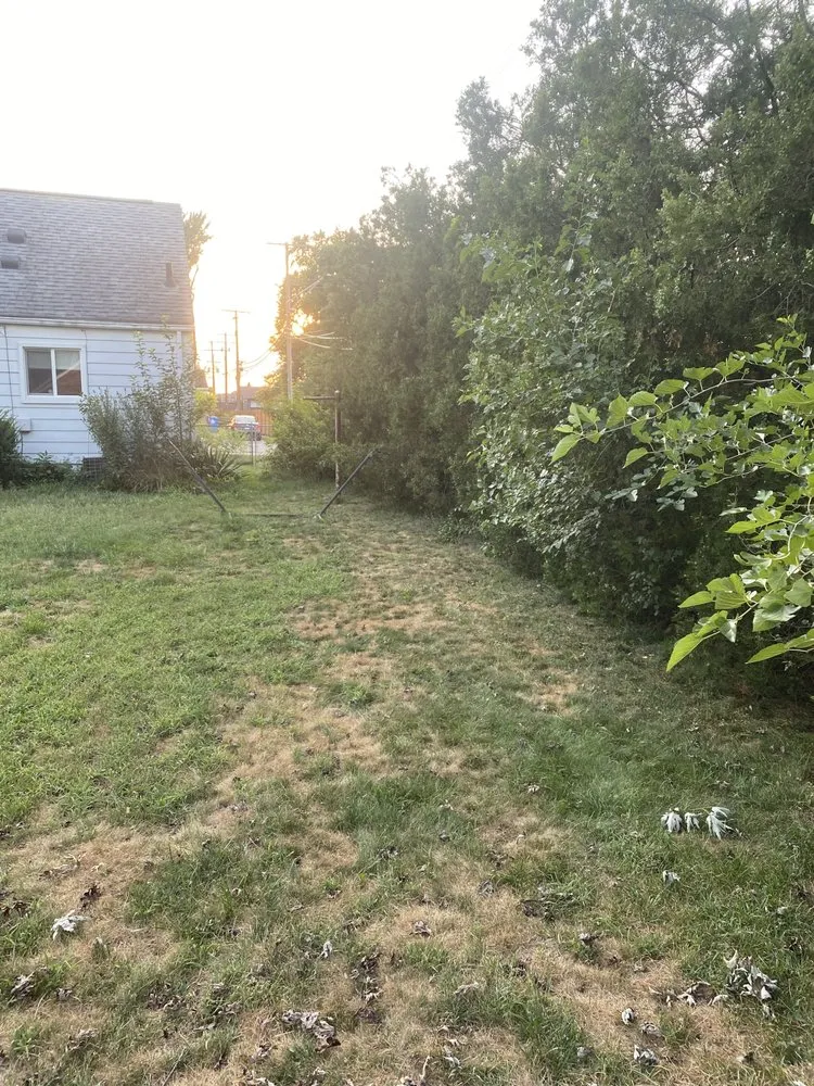 Reliable residential landscaping in Madison Heights, MI by Neffie Services