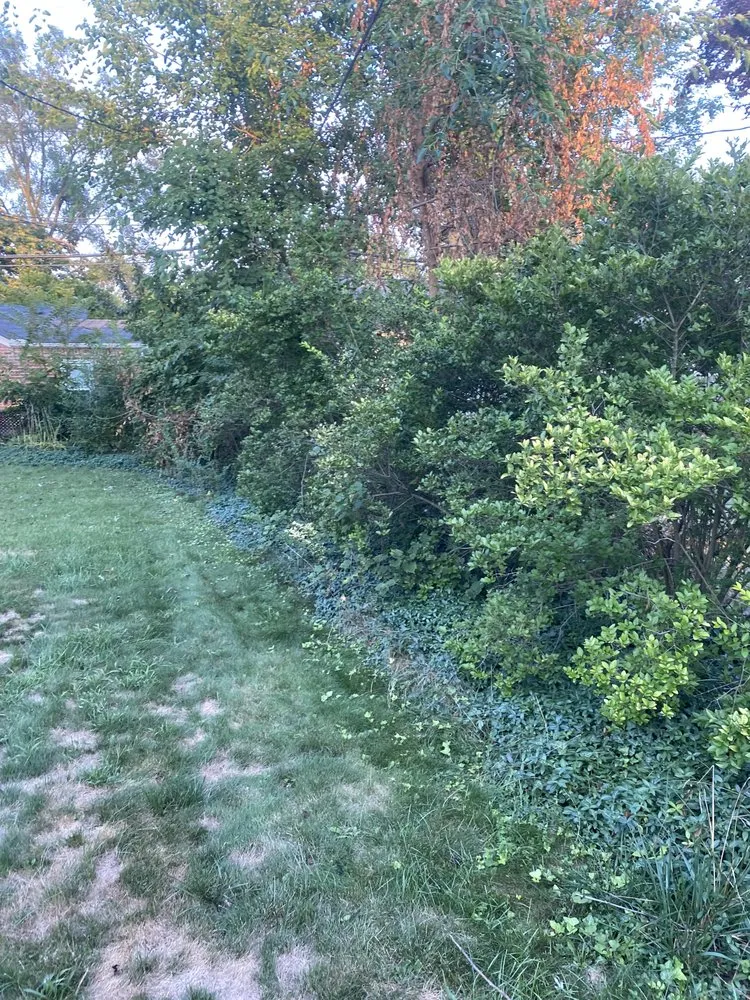 Custom landscape design experts serving Madison Heights, MI - Neffie Services