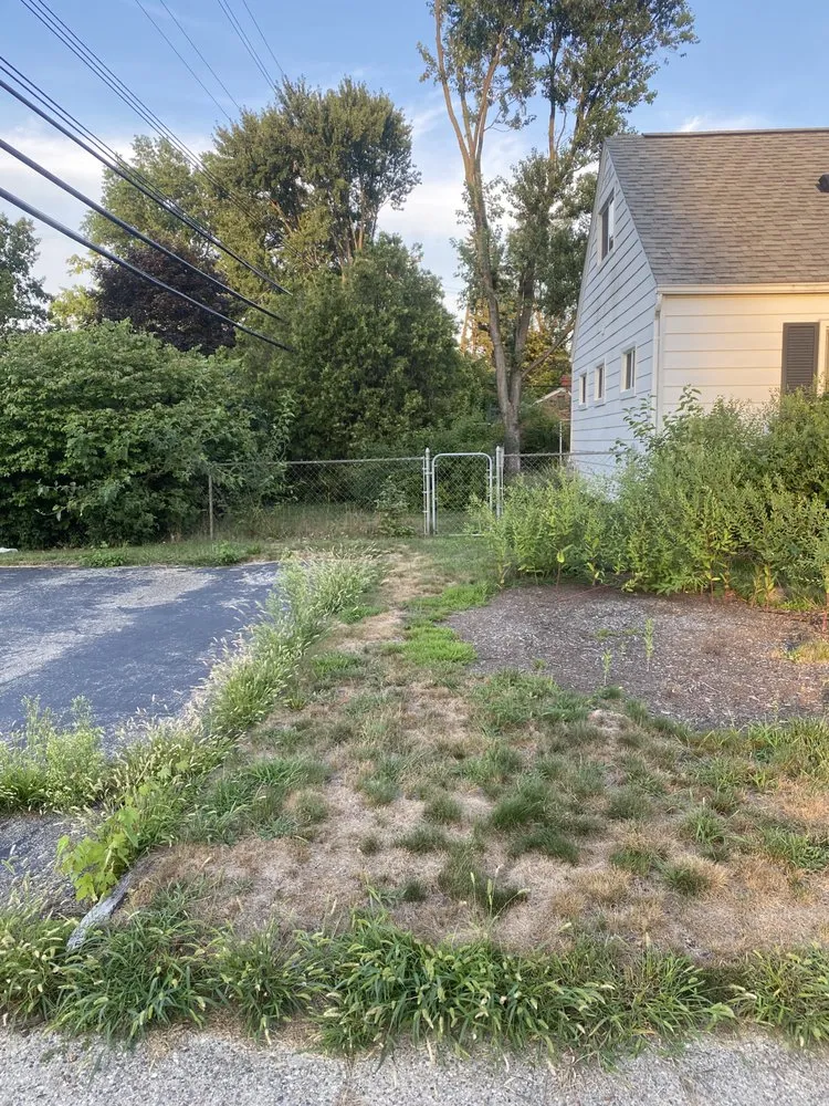 Custom landscaping services for outdoor upgrades in Madison Heights, MI by Neffie Services