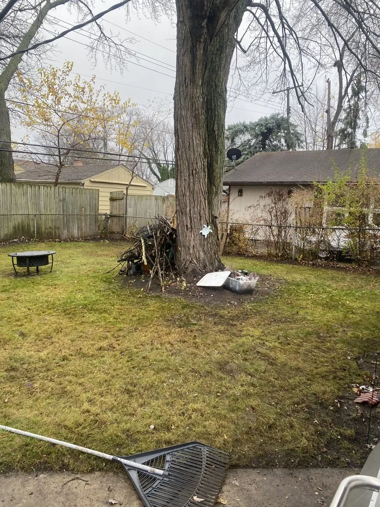 Expert lawn care service with custom design across Madison Heights, MI - Neffie Services