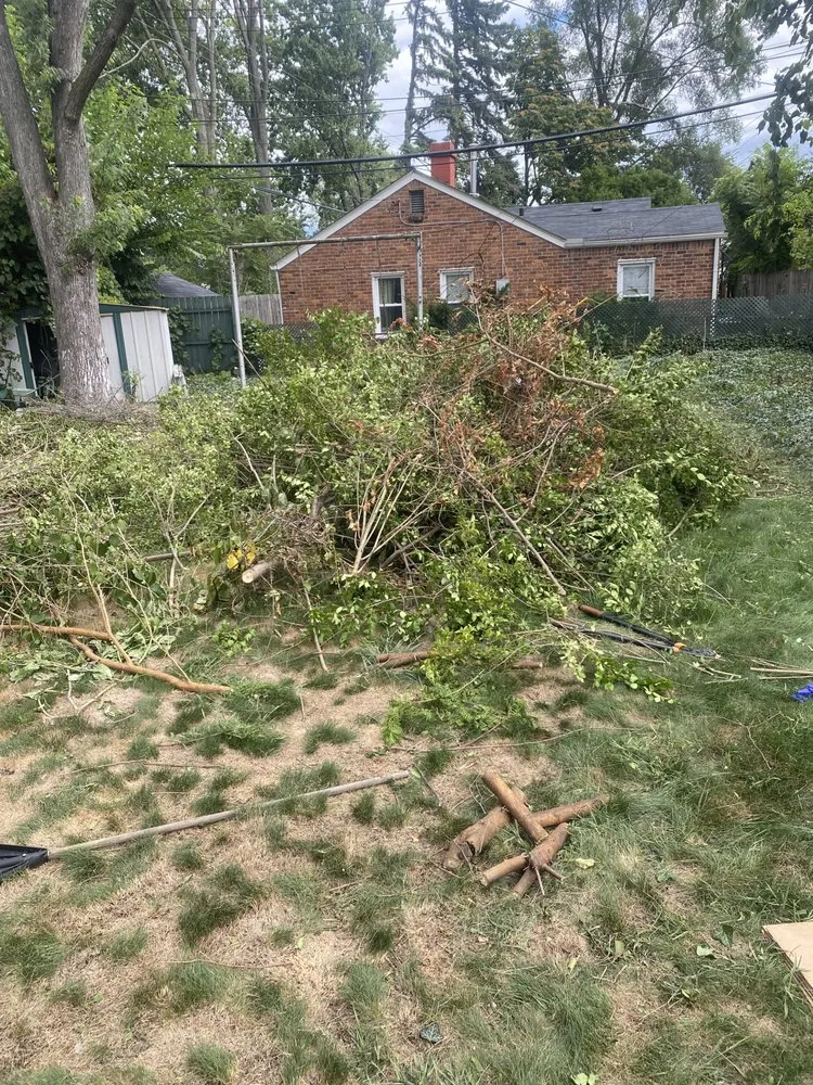 Custom lawn mowing service experts serving Madison Heights, MI - Neffie Services